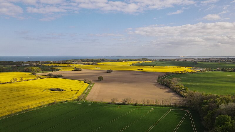 Schleswig-Holstein bietet mit seinen weiten Flächen und Feldern gute Bedingungen für die Landwirtschaft und ermöglicht praxisnahen Unterricht auf dem Agrarcampus.