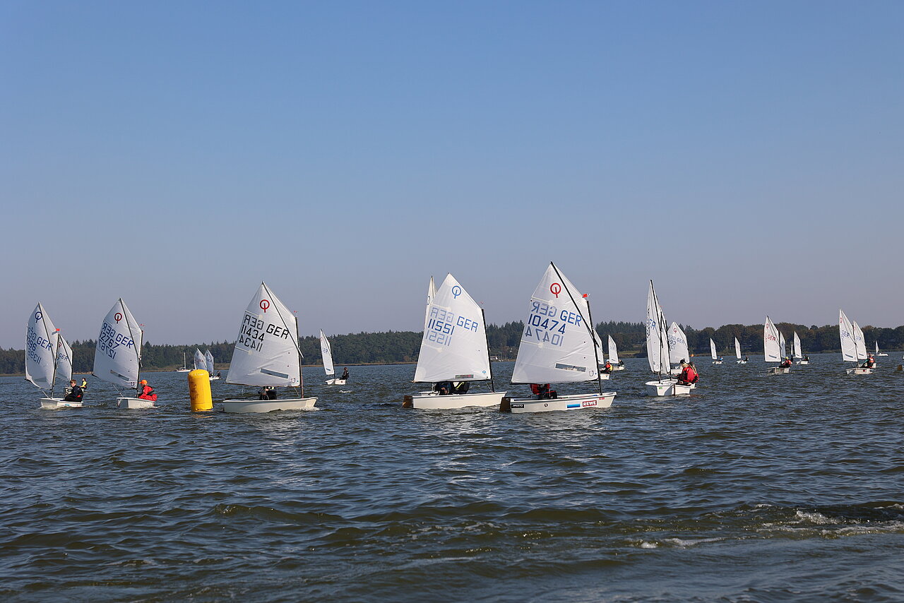 Herbstpokal-Optiregatta-Internat-Louisenlund Opti-Segelregatta am Herbstpokal der Stiftung Louisenlund auf der großen Breite