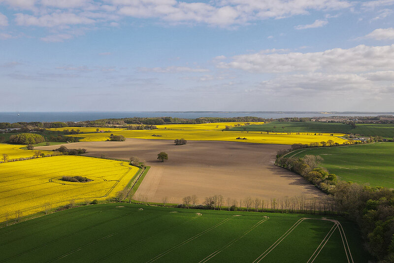 landwirtschaft-felder-bildung-abitur-Louisenlund Große und weite Felder werden in Schleswig-Holstein für die Landwirtschaft