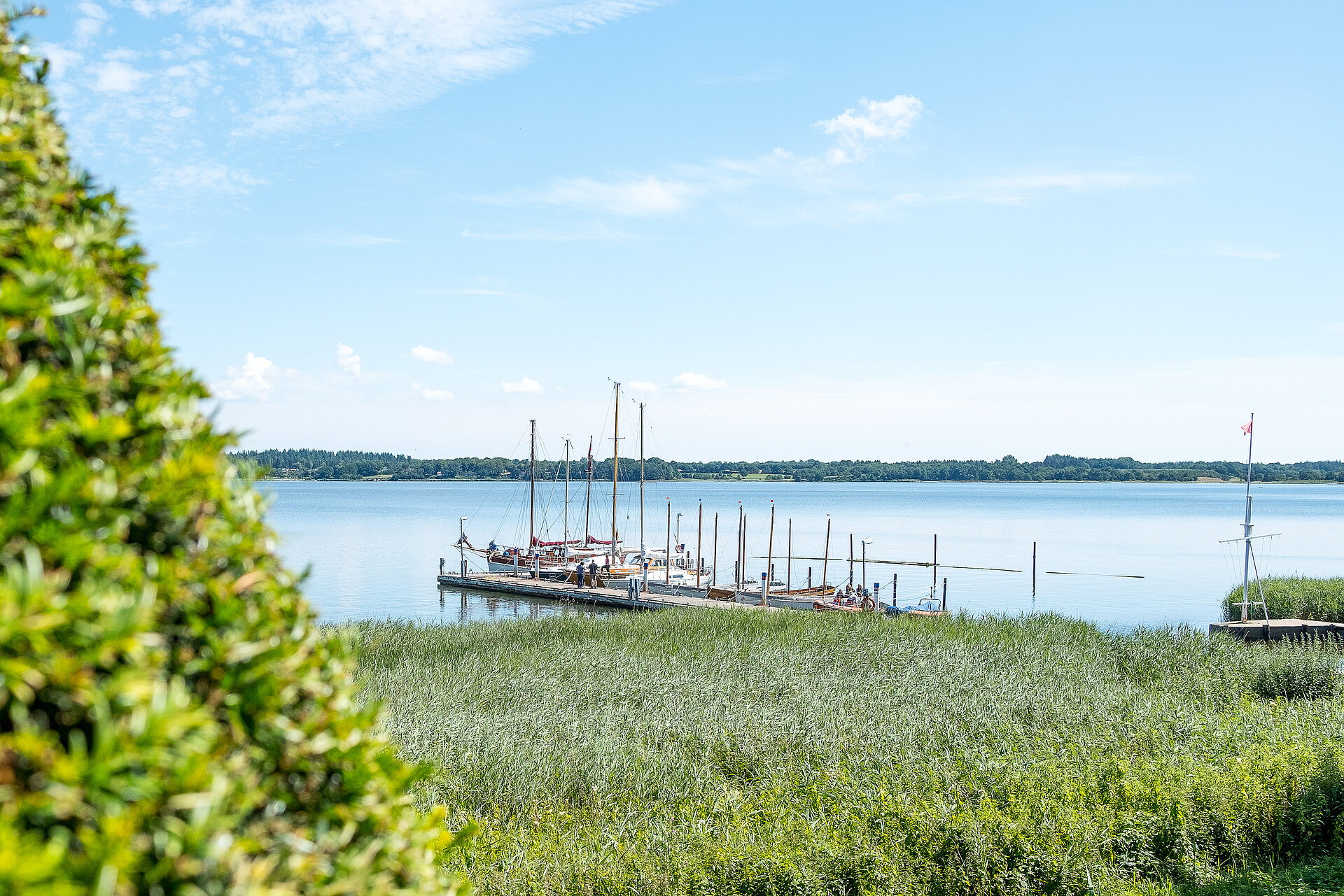 Der idyllische Segelhafen in Louisenlund ist Treffpunkt für alles Internatsschüler und zentraler Ausgangspunkt aller Segelaktivitäten und Forschungsprojekte auf unserem egelschulschiff "Kurt Hahn"